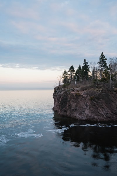 The island's trees during the day
